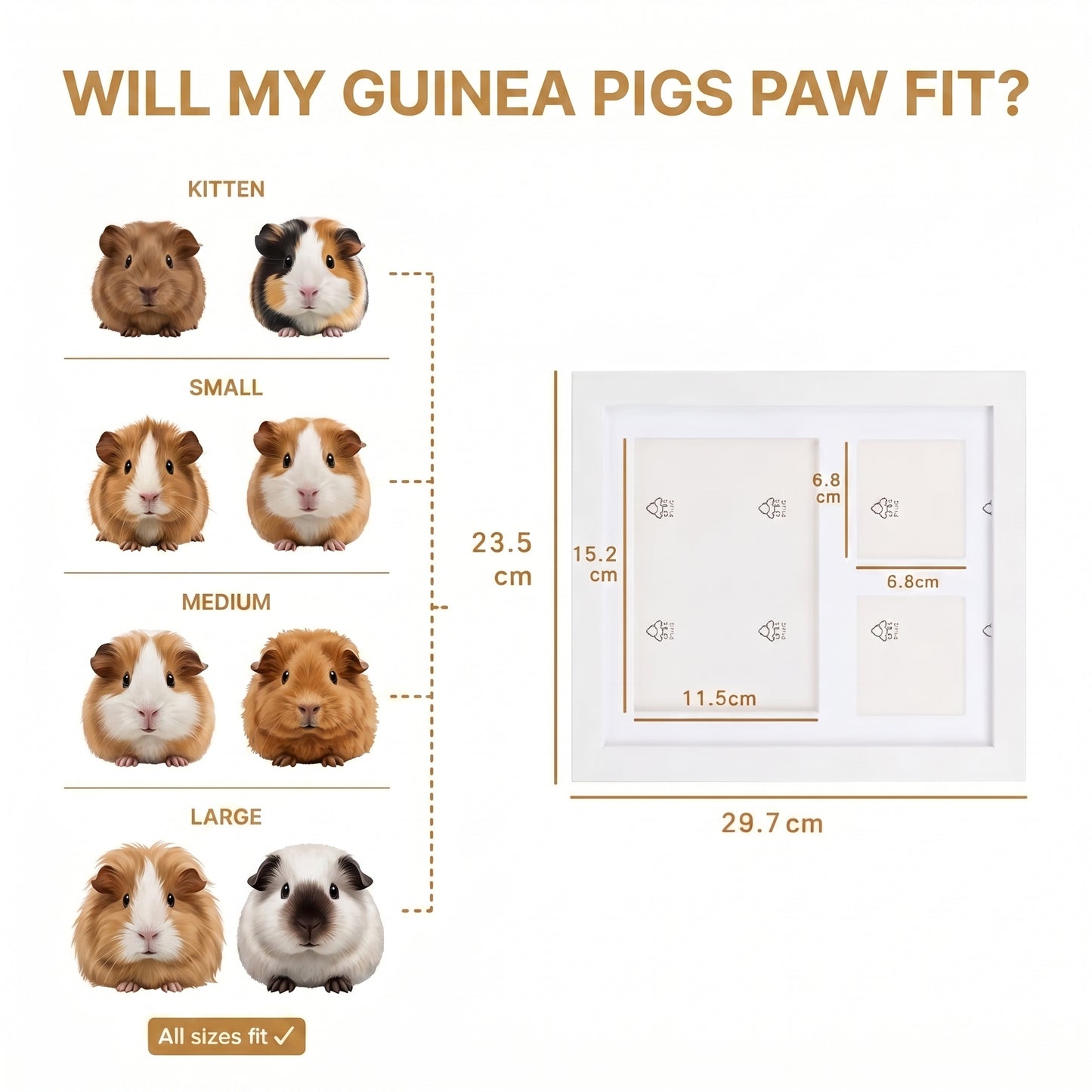 PawMemo™ - Clay Kit