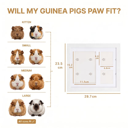 PawMemo™ - Clay Kit