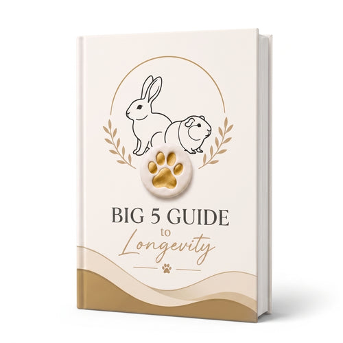 The Big 5 Longevity Guide