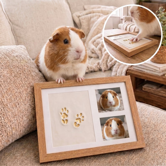 PawMemo™ - Clay Kit